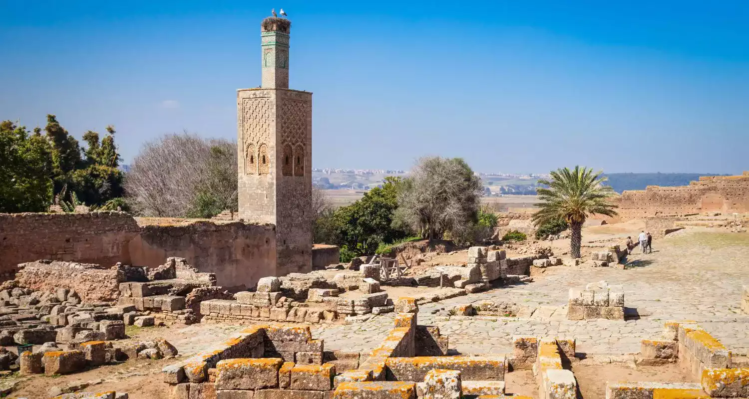 کشف گورستان تاریخی شِلا (Chellah Necropolis)