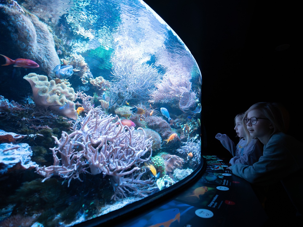 gothenburg Universeum
